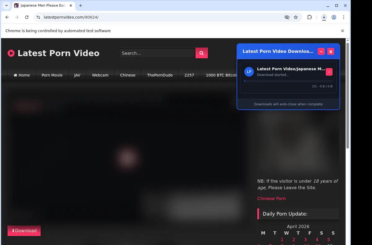 Latestpornvideo Video Downloader browser extension screenshot 2