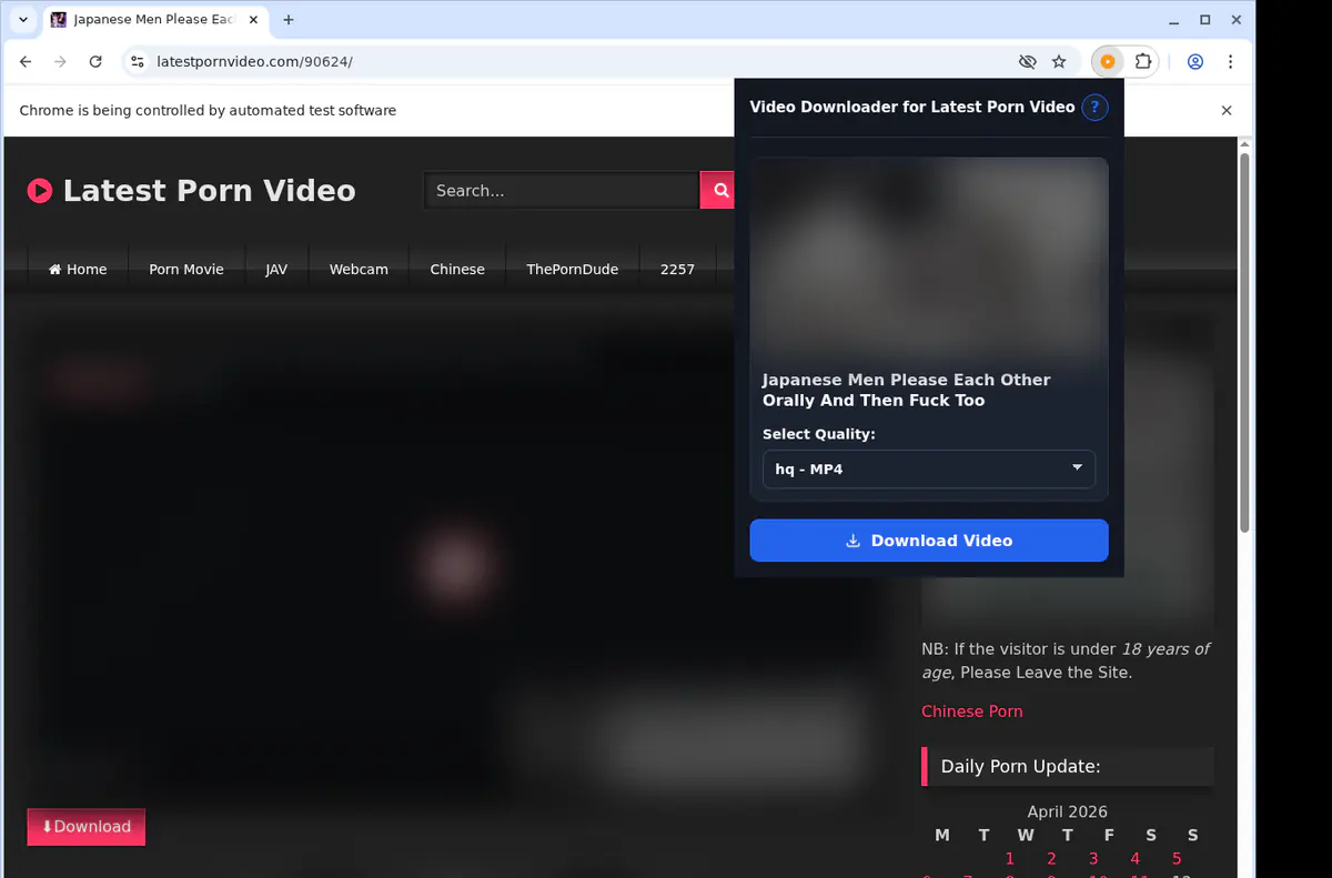 Latestpornvideo Video Downloader browser extension screenshot 3